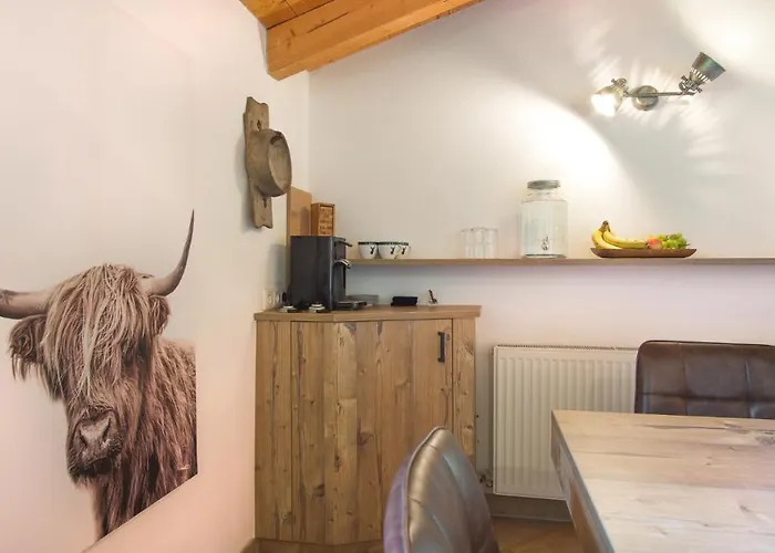 Alpen Loft * 施图拜河谷新施蒂夫特